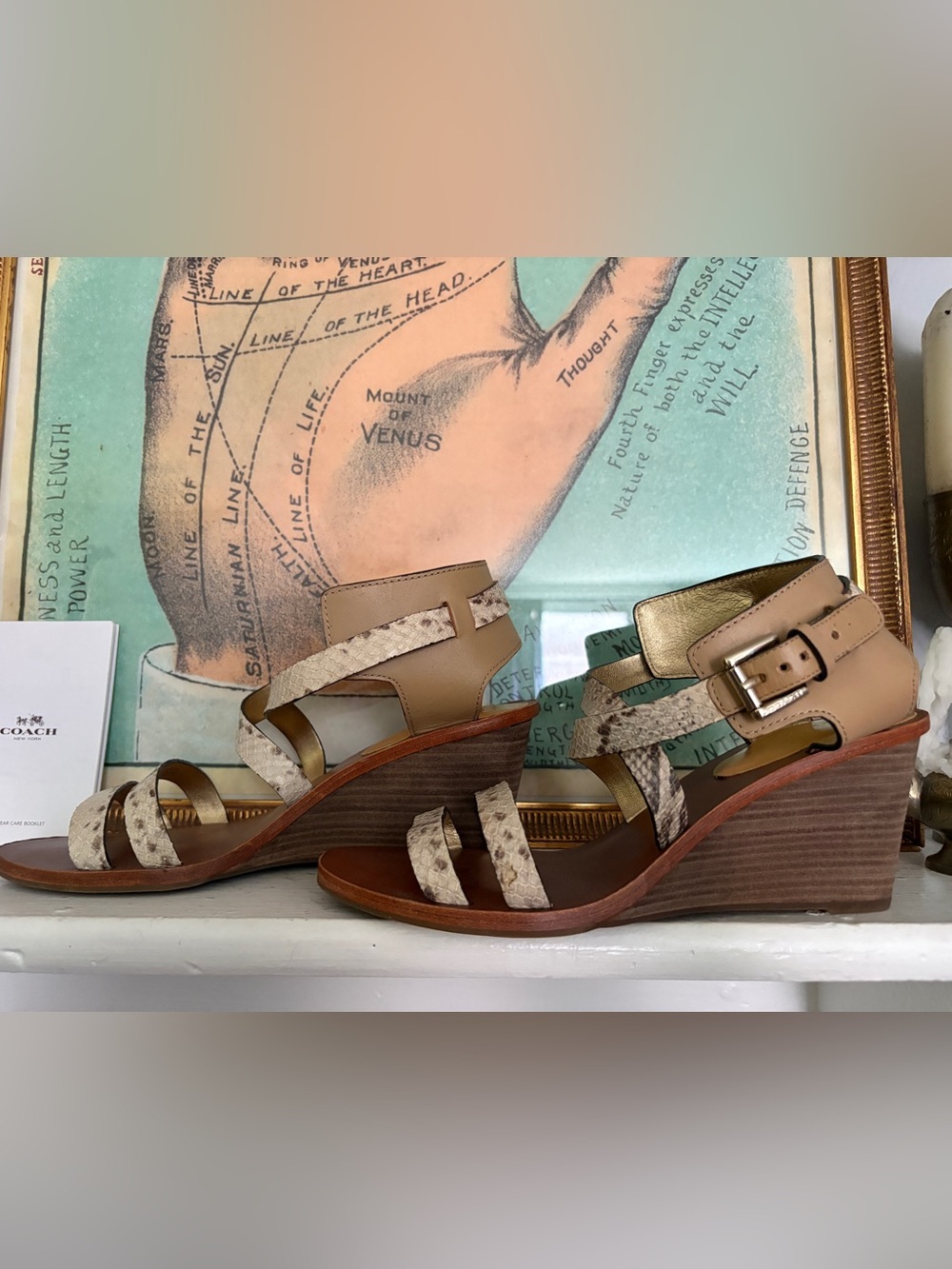 SZ 9.5 coach leather gold metallic snakeskin wedge